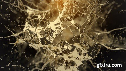 Videohive Golden Splash Logo Reveal 38077274 Videohive Golden Splash Logo Reveal 38077274