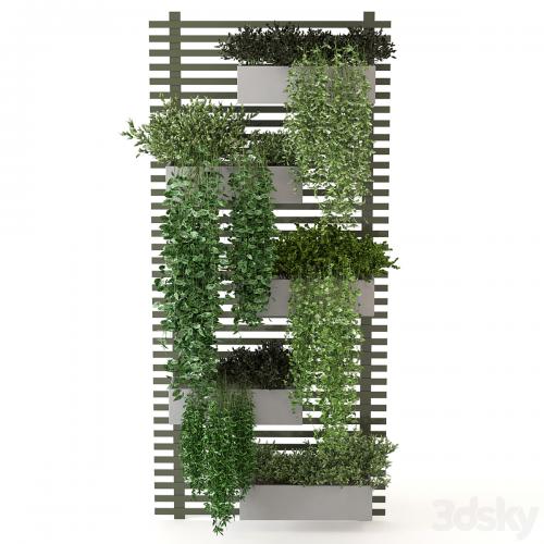 Indoor Plants Collection - Set 393