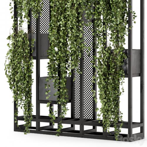 Indoor Hanging Plants in Metal Stand - Set 848