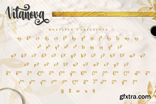 Vilanova Swash Calligraphy font AVPFB8V