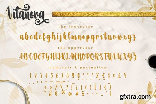 Vilanova Swash Calligraphy font AVPFB8V