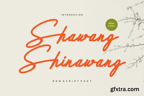 Shawang Shinawang - New Script Font V9TSTTF