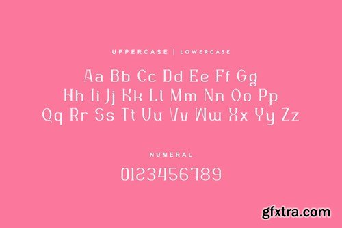 Nafegise - Elegant Serif Typeface Font FSEAPSM