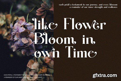 Qolgina Elegant Serif Typeface YFH5F3E