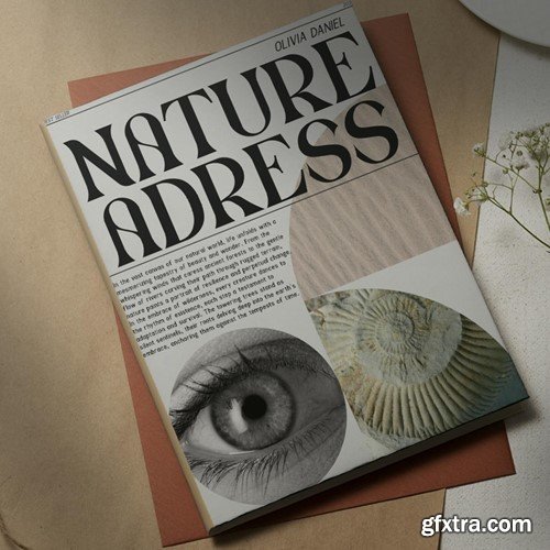 Drivex - Classy and Unique Serif Font 3H5TMRK