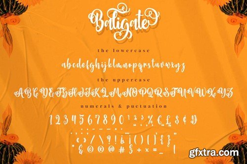 Baligate - Swash Font DZVGC57