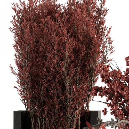 Bouquet 108 - Red Plants
