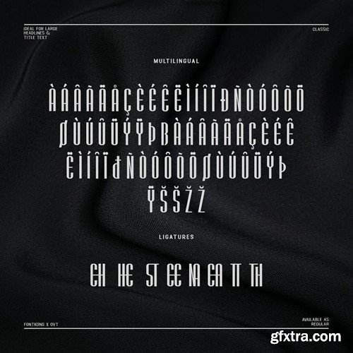 Sereena - Classy & Stylish Sans Serif Font A62FS3U