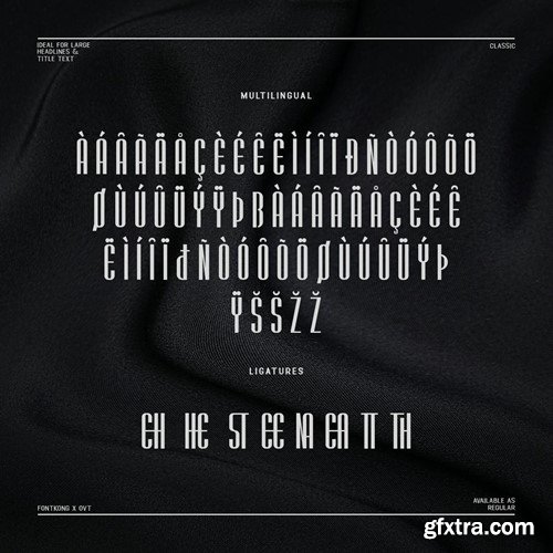 Sereena - Classy & Stylish Sans Serif Font A62FS3U