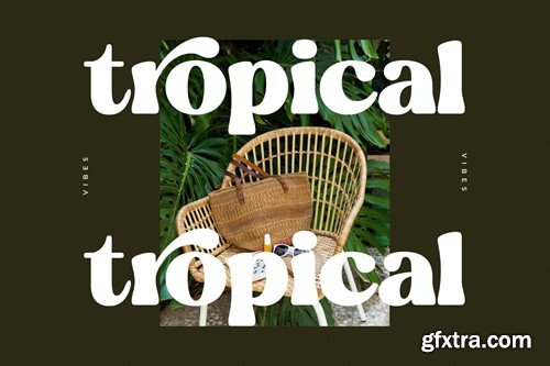 Blugide Retro Serif Font REU46DA