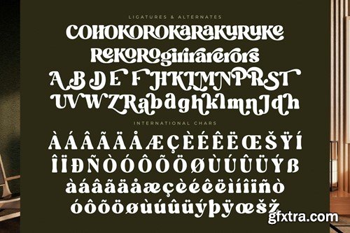 Blugide Retro Serif Font REU46DA