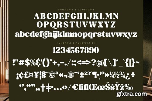 Blugide Retro Serif Font REU46DA