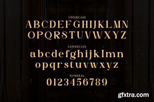 Ryleighn - Vintage Display Font 2JNEM5X