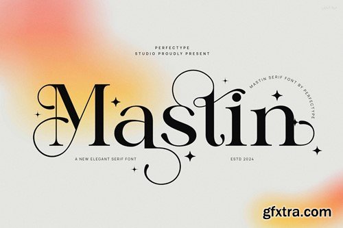 Mastin Elegant Serif Font Typeface Z6985UE