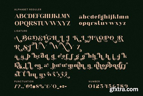 Fenita Elgone Elegant Serif Font Typeface 4BYNWPS