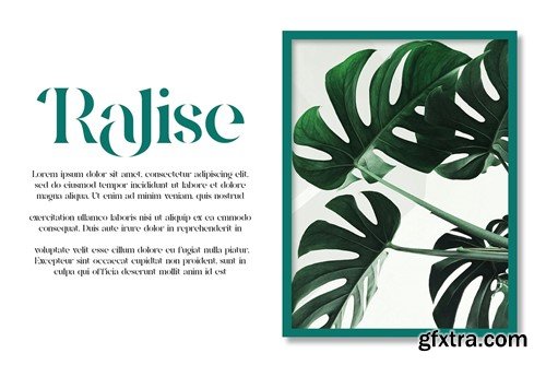 Negita Serif Font B2G8YMT