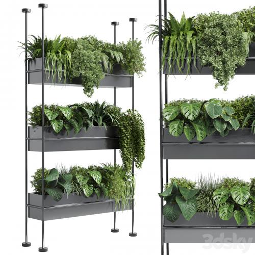 stand wall decor with shelves for the closet or showcase plants collection 179