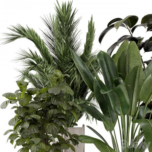 Indoor Plants in Ferm Living Bau Pot Large - Set 976