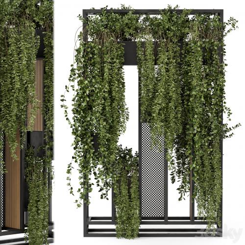 Indoor Hanging Plants in Metal Stand - Set 1005