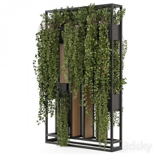 Indoor Hanging Plants in Metal Stand - Set 1005