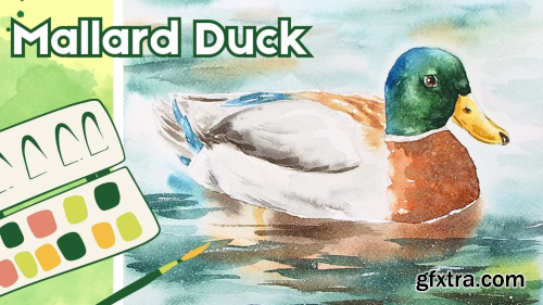 Watercolor Birds: Mallard Duck in Lake