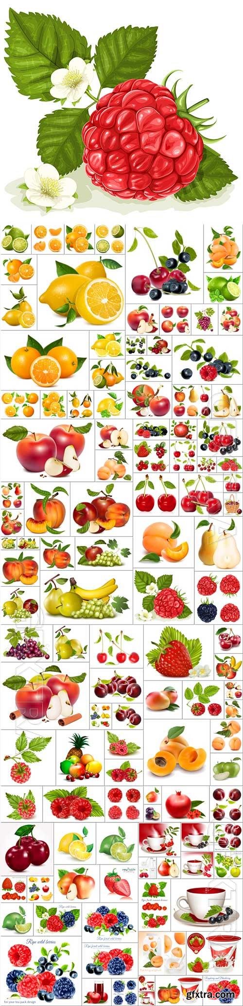 Fruits bundle vector 1
