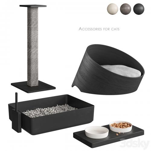 Accessories for cats NG1