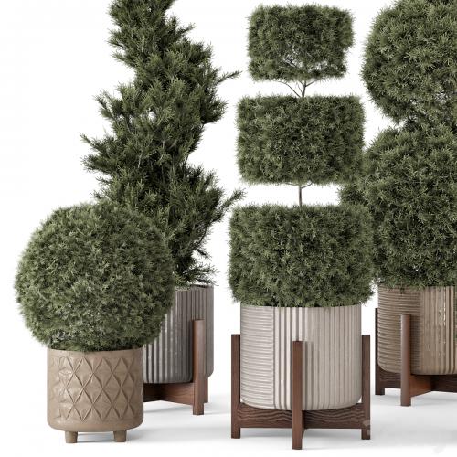 Outdoor Pine Plants in Concrete Pot - Set 522