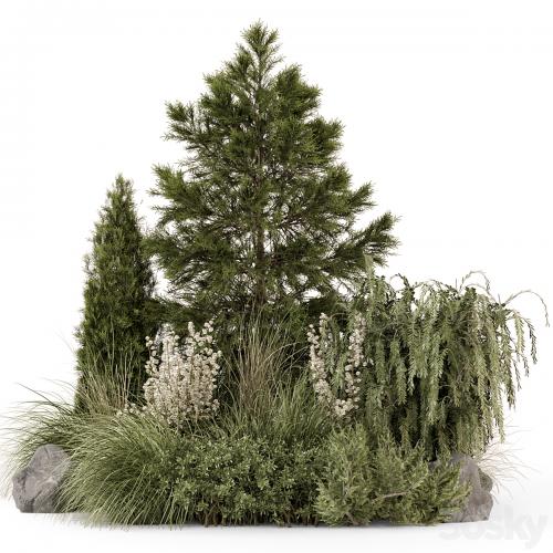 Outdoor Plants Bush Collection -Bush Set 1578