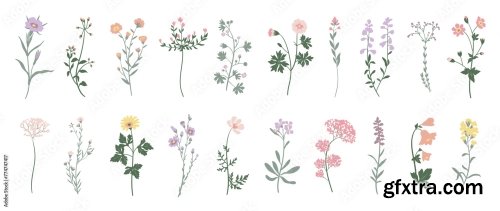 Wild Flowers Vector Collection 6xAI