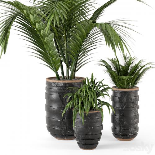 Outdoor Plants bush and Tree in rusty Concrete Pot - Set 148