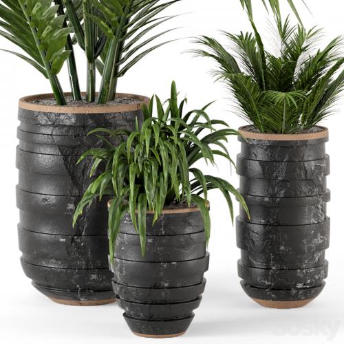 Outdoor Plants bush and Tree in rusty Concrete Pot - Set 148