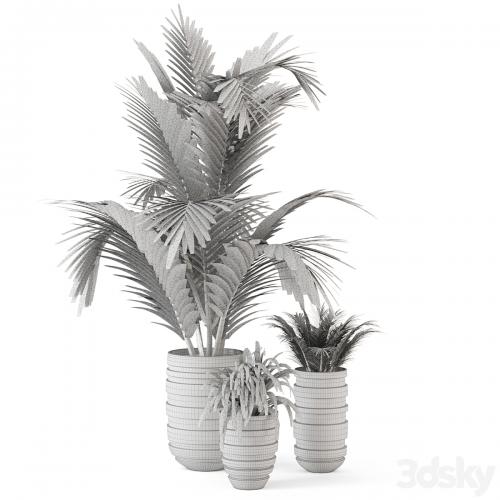 Outdoor Plants bush and Tree in rusty Concrete Pot - Set 148