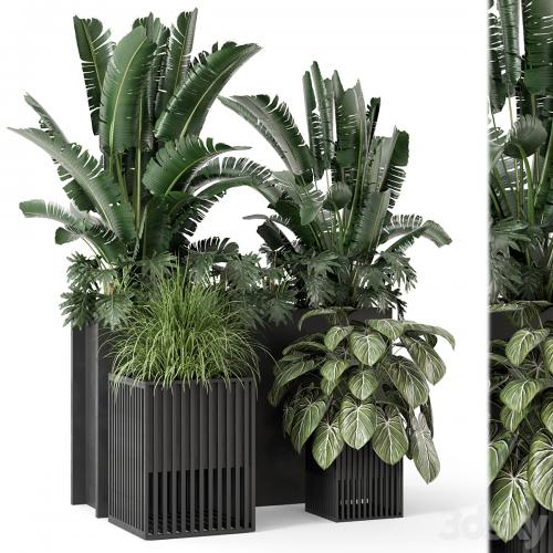 Outdoor Plants Bush in Metal Pot - Set 1074