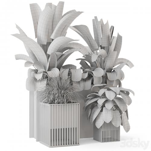 Outdoor Plants Bush in Metal Pot - Set 1074
