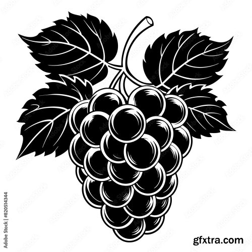 A Bunch Of Grapes 6xSVG