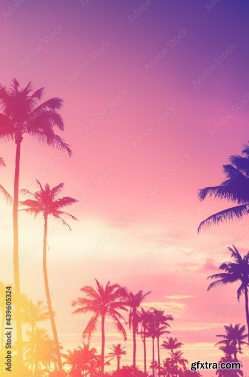 Tropical Palm Tree 6xJPEG