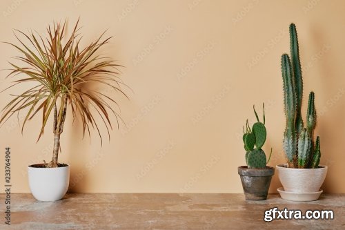 Different Plants 6xJPEG