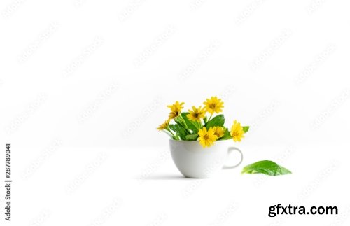 Flowers In A Cup 6xJPEG