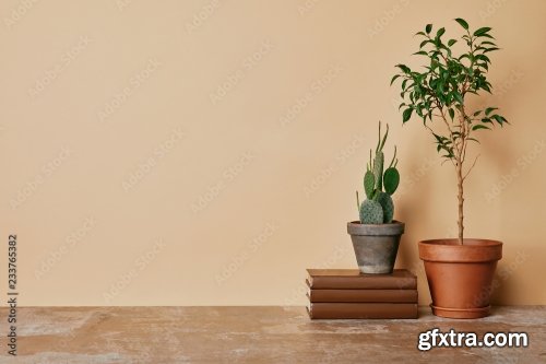 Different Plants 6xJPEG