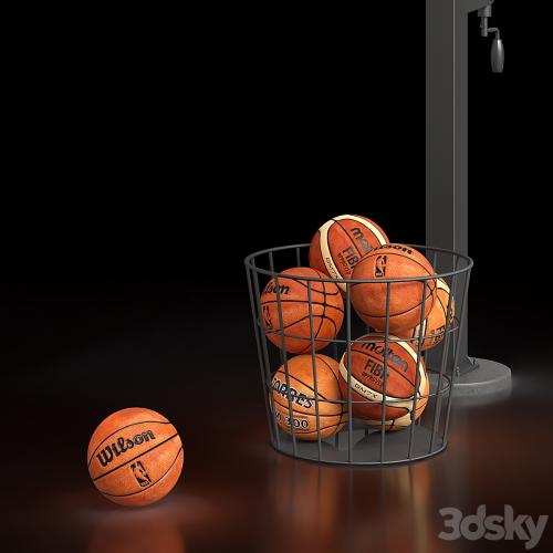 Basketball Hoop Goalrilla