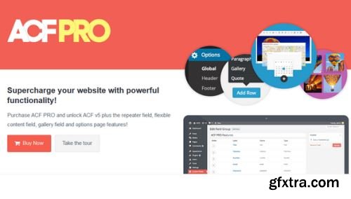 Advanced Custom Fields Pro v6.4.3 - NULLED
