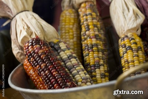 Dried Indian Corn 6xJPEG