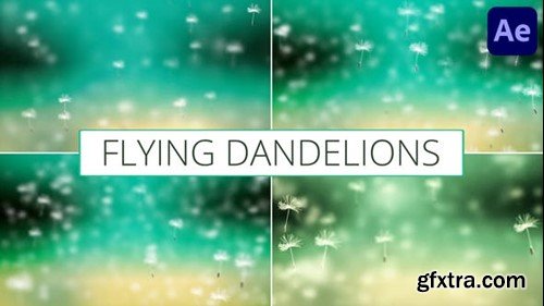 Videohive Flying Dandelions for After Effects 52411210 Videohive Flying Dandelions for After Effects 52411210