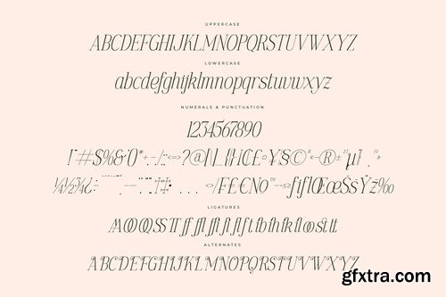 Golastika Modern Serif Font Q7WJUKU