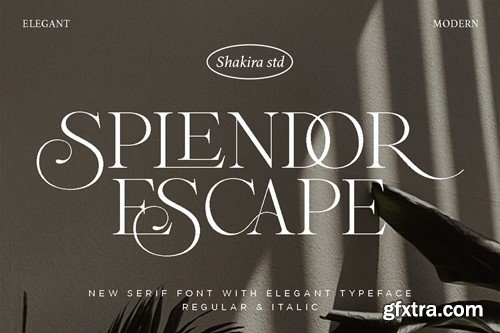 Splendor Escape 6FA5CZT