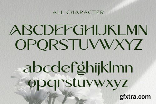 Qitahero - Modern Sans-Serif Typeface BEM2MXJ