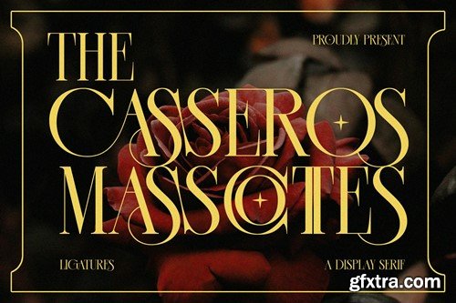 CASSEROS MASSCOTTES Ligature Serif Typeface V855SD4