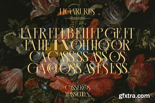 CASSEROS MASSCOTTES Ligature Serif Typeface V855SD4