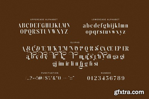 Simlong - Elegant Serif Font NHU9X2Y